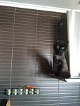     
: IMG_20170429_102819.jpg
: 9
:	68.3 
ID:	12071041