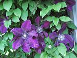     
: DSC04737.jpg
: 18
:	168.0 
ID:	12073088