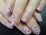     
: cvetoch-sakura-4.jpg
: 17
:	170.2 
ID:	12073118