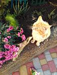     
: IMG_20170523_092204.jpg
: 23
:	134.4 
ID:	12075297