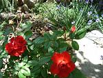     
: DSC04746.jpg
: 22
:	249.9 
ID:	12077646