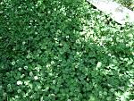     
: DSC04765.jpg
: 24
:	288.8 
ID:	12077651
