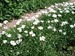     
: DSC04769.jpg
: 21
:	301.9 
ID:	12077653