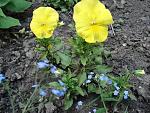     
: DSC04771.jpg
: 21
:	224.1 
ID:	12077654