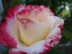     
: DSC04744.jpg
: 23
:	82.8 
ID:	12077655