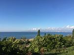     
: IMG_0517.jpg
: 26
:	154.3 
ID:	12078019