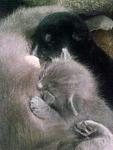     
: 2cBjOlIyGok.jpg
: 11
:	72.4 
ID:	12079053