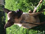     
: IMG_6346.jpg
: 14
:	254.3 
ID:	12080430
