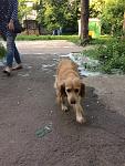     
: nr-RhY6leYU.jpg
: 13
:	211.7 
ID:	12081800