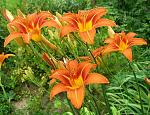     
: 56e5321066635_51adhlyzdji.jpg
: 18
:	73.9 
ID:	12082170