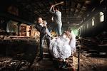     
: IMG_56232326-Edit.jpg
: 17
:	185.0 
ID:	12084404