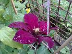     
: 20170527_151335.jpg
: 11
:	185.9 
ID:	12085927