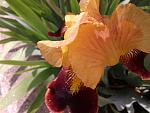     
: 20170527_150101.jpg
: 12
:	115.6 
ID:	12085928