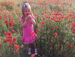     
: IMG_2164.jpg
: 8
:	302.9 
ID:	12087502