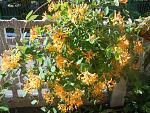     
: DSCN3990.jpg
: 10
:	275.5 
ID:	12089224