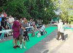     
: DSC07912.jpg
: 13
:	179.5 
ID:	12090310