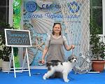     
: DSC07869.jpg
: 12
:	162.1 
ID:	12090312