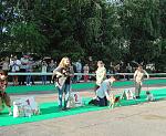     
: DSC07919.jpg
: 12
:	233.1 
ID:	12090313
