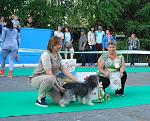     
: DSC07942.jpg
: 13
:	148.4 
ID:	12090326