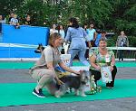     
: DSC07941.jpg
: 13
:	168.4 
ID:	12090328