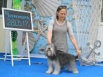     
: DSC07842.jpg
: 12
:	134.3 
ID:	12090329