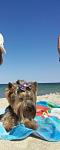     
: viber imagпоe.jpg
: 25
:	11.0 
ID:	12090970