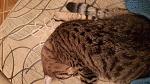     
: 20170527_220542.jpg
: 43
:	159.7 
ID:	12093825