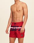     
: hol_115506_01_model1.jpg
: 28
:	48.8 
ID:	12094256