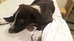     
: 20170602_205040.jpg
: 17
:	72.4 
ID:	12095486