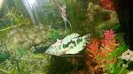     
: IMG_20170526_163611.jpg
: 31
:	119.9 
ID:	12099562
