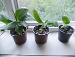     
: DSCN5224.JPG
: 9
:	216.4 
ID:	12103424