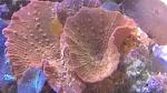     
: WP_20170609_001.jpg
: 85
:	118.8 
ID:	12109217