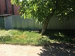     
: IMG_1429.jpg
: 24
:	238.7 
ID:	12110010