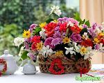     
: 1426251468_s-dnem-rozhdeniya-zhene.jpg
: 12
:	115.6 
ID:	12111345