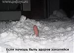     
: 1716.jpg
: 621
:	35.7 
ID:	121114