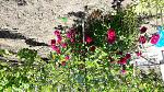     
: 20170603_120707.jpg
: 11
:	305.8 
ID:	12112866