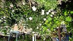     
: 20170603_120439.jpg
: 9
:	303.5 
ID:	12112867
