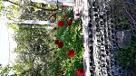     
: 20170518_154802.jpg
: 9
:	280.8 
ID:	12112870