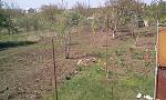     
: attachment.jpg
: 95
:	229.7 
ID:	12113073