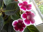     
: DSCN4028.jpg
: 7
:	107.1 
ID:	12113987
