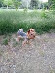     
: P70612-201434.jpg
: 16
:	196.5 
ID:	12115310