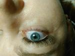    
: IMG_20170529_170411.jpg
: 31
:	104.5 
ID:	12115408