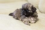     
: IMG_6907.jpg
: 38
:	76.5 
ID:	1211881
