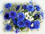     
: Ane.jpg
: 6
:	141.4 
ID:	1212360
