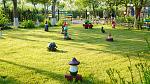     
: DSC05646.jpg
: 28
:	300.1 
ID:	12123903