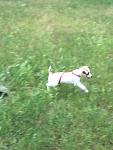     
: IMG_9376.jpg
: 18
:	71.4 
ID:	12125177