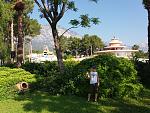     
: 20170607_081630.jpg
: 19
:	276.6 
ID:	12127042