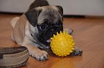     
: DSC_1995.jpg
: 13
:	86.2 
ID:	12127493