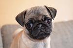     
: DSC_1956.jpg
: 17
:	84.6 
ID:	12127494