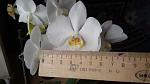     
: 20160410_113654.jpg
: 16
:	65.0 
ID:	12131283